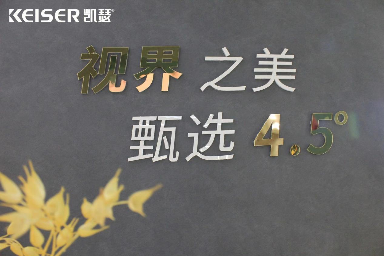 凯瑟艺术涂料