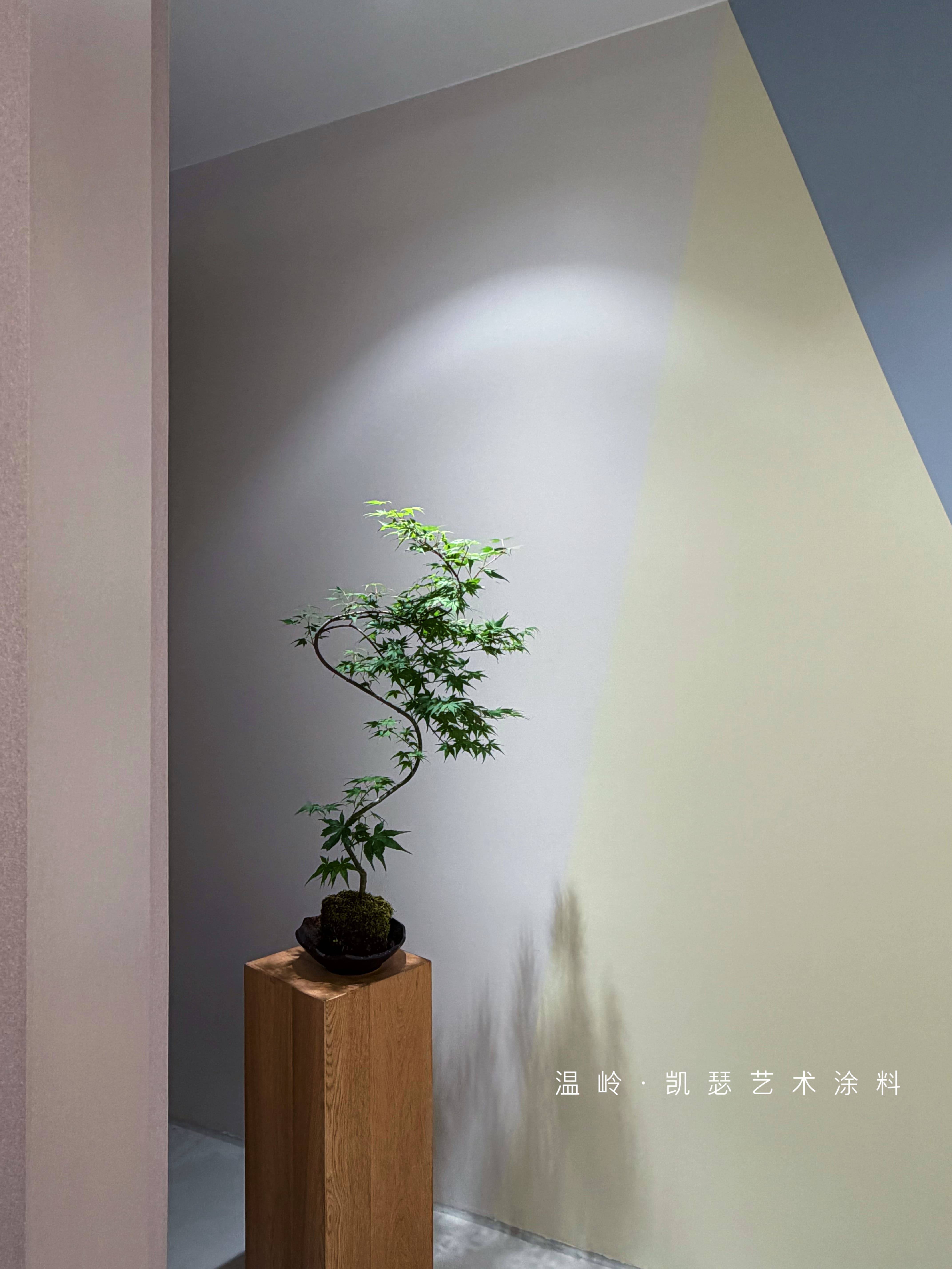 凯瑟艺术涂料