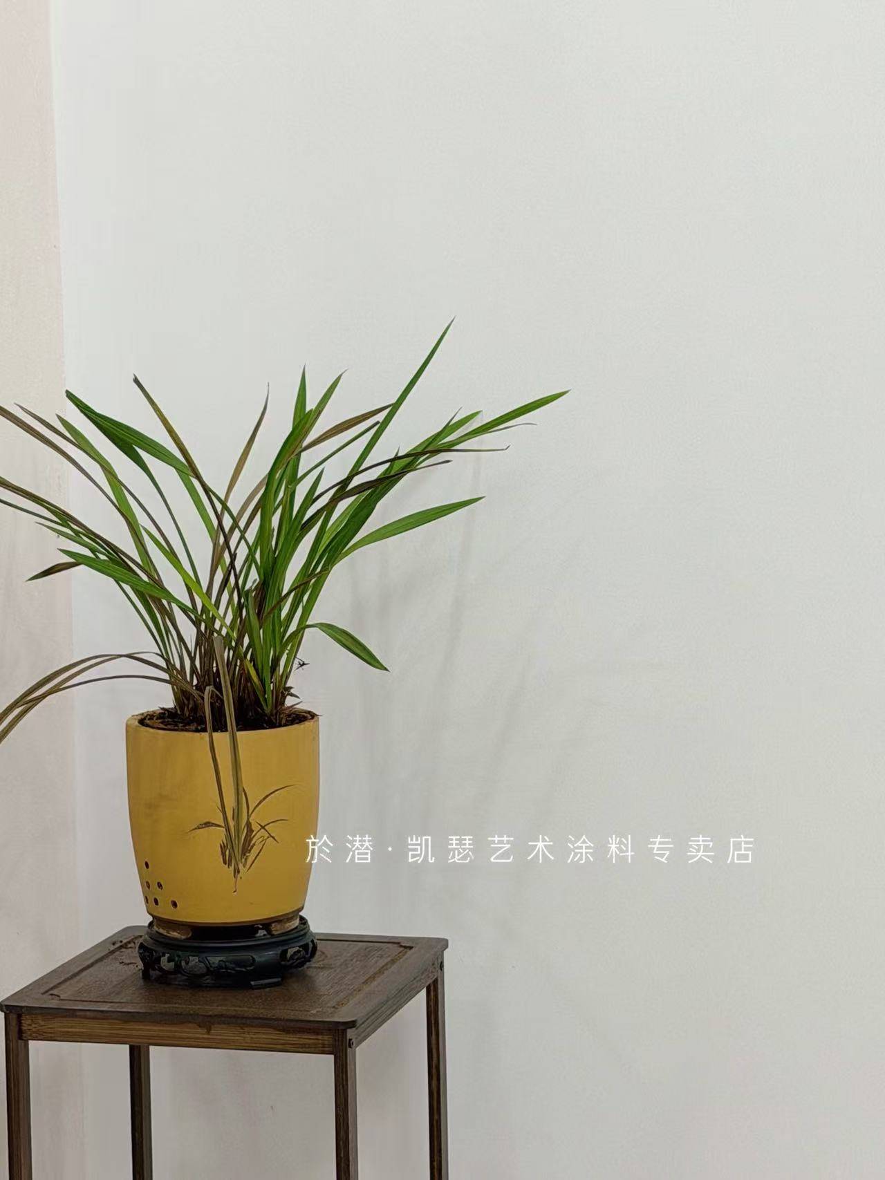 凯瑟艺术涂料